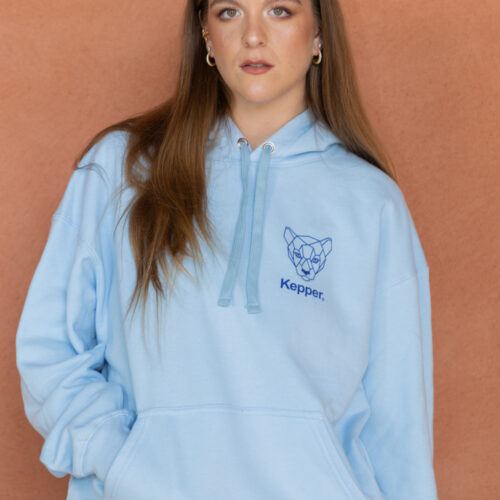 Hoodie Puma couleur bleu ciel